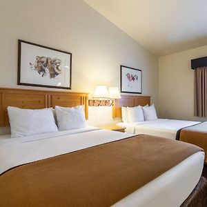 Queen Suite Two Queen Beds Disability Access